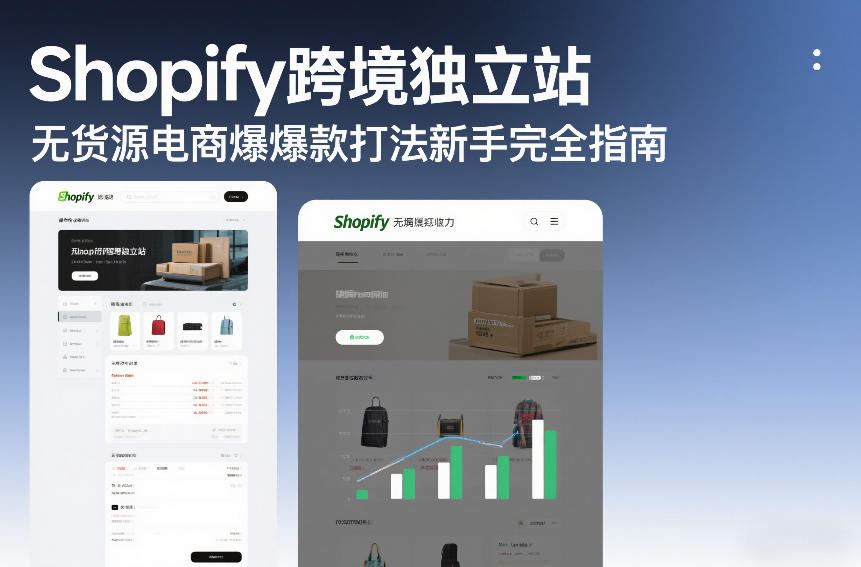 Shopify跨境独立站无货源电商爆款打法新手完全指南-大川资源分享站