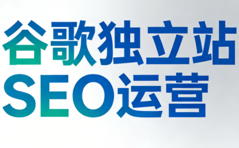 谷歌独立站SEO运营(更新2026)-大川资源分享站