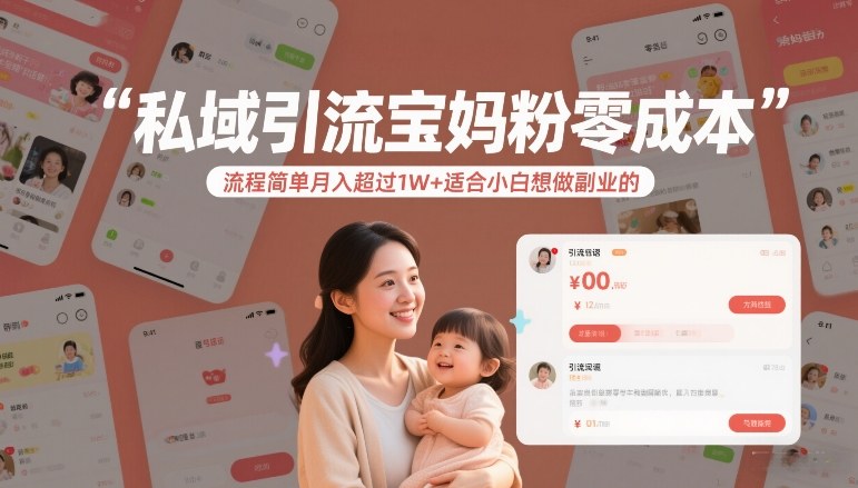 私域引流宝妈粉零成本流程简单月入超过1W+适合小白想做副业的-大川资源分享站