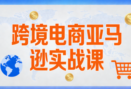 丝丝老师·跨境电商亚马逊实战课(更新2月)-大川资源分享站