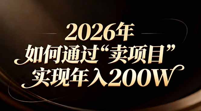 站在2026年的十字路口：一个普通人如何通过卖项目实现年入200万-大川资源分享站