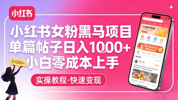小红书女粉黑马项目,单篇帖子日入1k+,小白零成本上手-大川资源分享站
