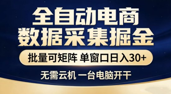 独家电商数据全自动采集项目，批量可矩阵，单窗口轻松日入3张+【揭秘】-大川资源分享站