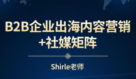 shirle老师·B2B企业出海内容营销+社媒矩阵-大川资源分享站