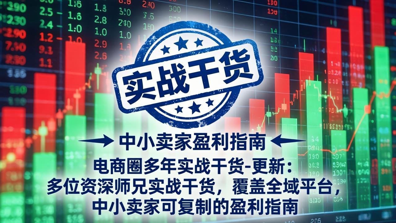 电商圈多年实战干货-更新4月：多位资深师兄实战干货，覆盖全域平台，中小卖家可复制的盈利指南-大川资源分享站