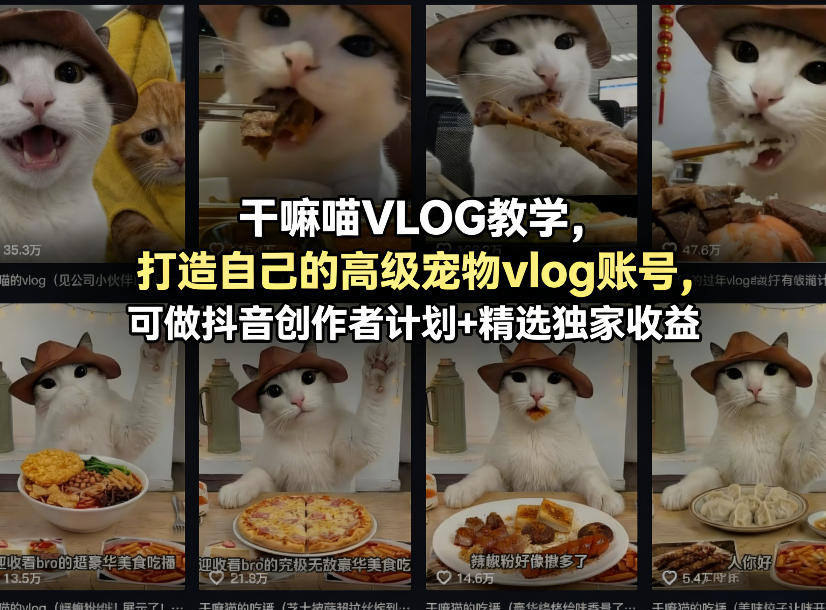 干嘛喵VLOG教学,打造自己的高级宠物vlog账号,可做抖音创作者计划+精选独家收益-大川资源分享站