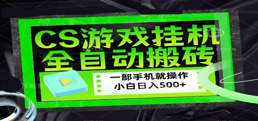 CSGO游戏挂机捡漏搬砖，超稳定的项目，带领1000+小白实现日入500+-大川资源分享站