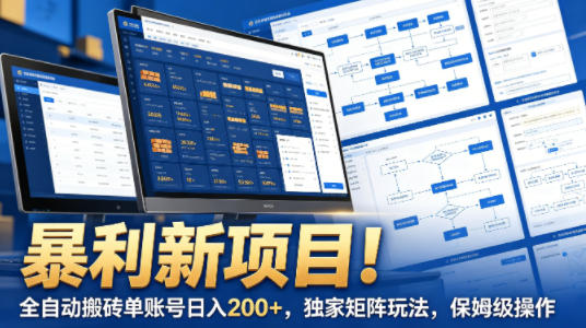 暴利新项目！全自动搬砖单账号日入200+，独家矩阵玩法，保姆级操作【揭秘】-大川资源分享站