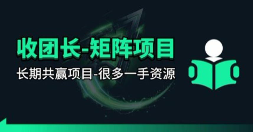 【团长合作】视频矩阵项目_招发手矩阵+剪辑师，共赢项目【揭秘】-大川资源分享站