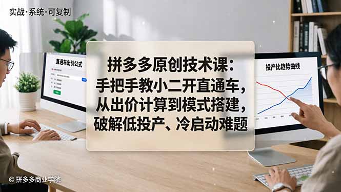 拼多多原创技术课：手把手教小二开直通车，从出价计算到模式搭建，破解低投产、冷启动难题-大川资源分享站