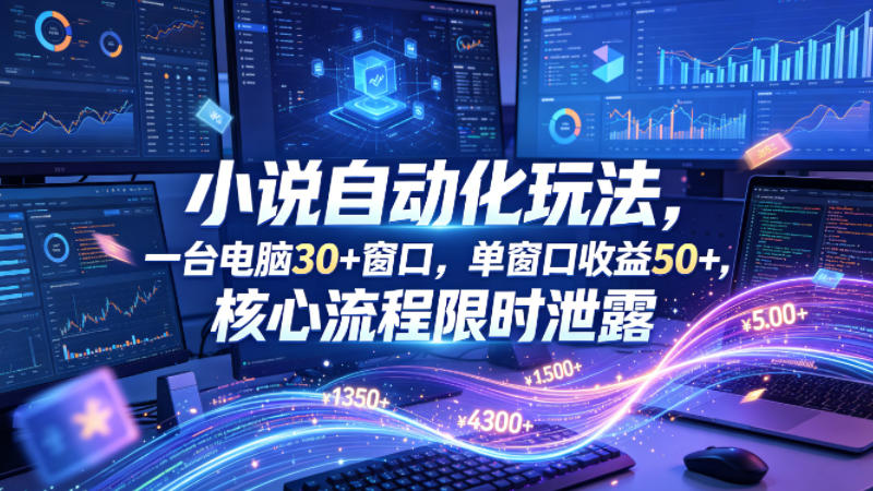 小说挂G自动化玩法，一台电脑30+窗口，单窗口收益50+，核心流程限时泄露【揭秘】-大川资源分享站