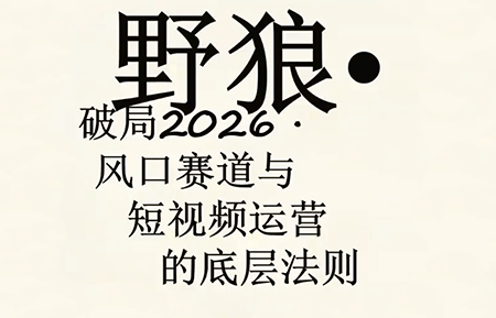 野狼团队·多平台实操运营课(更新4月)-大川资源分享站