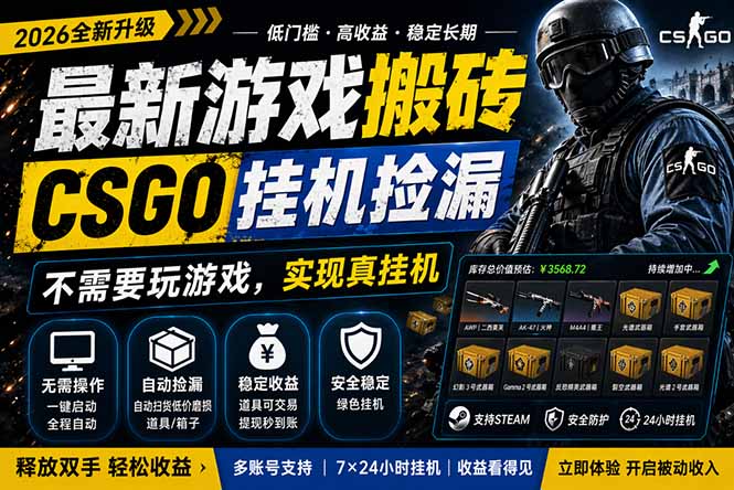 最新游戏搬砖，CSGO纯挂机，不需要玩游戏，实现真挂机，月入1W+，五一小高峰上车可吃肉，…-大川资源分享站