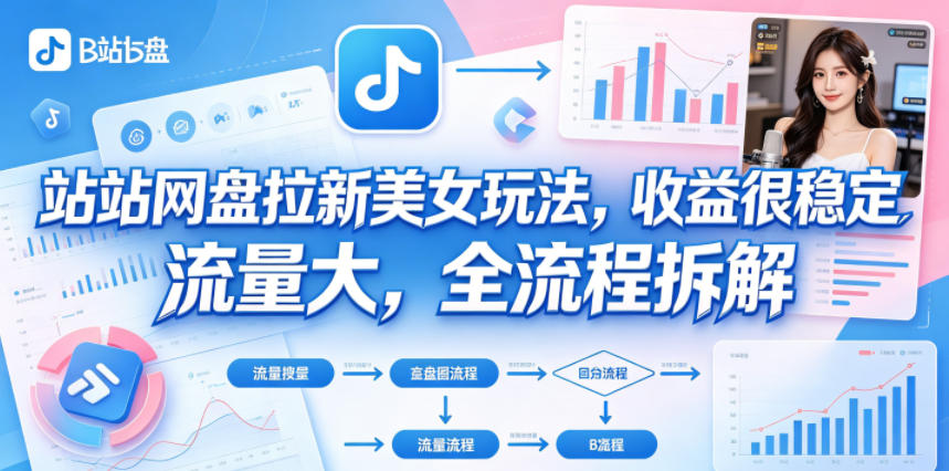 B站网盘拉新美女玩法，收益很稳定，流量大，全流程拆解-大川资源分享站