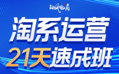 白凤电商·淘系运营21天速成班(更新4月)-大川资源分享站