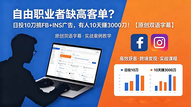 自由职业者缺高客单？日投 10 刀搞 FB+INS 广告，有人 10 天赚 3000 刀！【原创双语字幕】-大川资源分享站