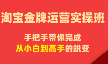 飓风电商·淘宝金牌运营实操班-大川资源分享站