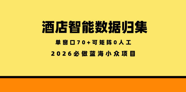 酒店智能数据归集，小众蓝海已经稳定半年之久，单窗口70+零成本矩阵开干【揭秘】-大川资源分享站
