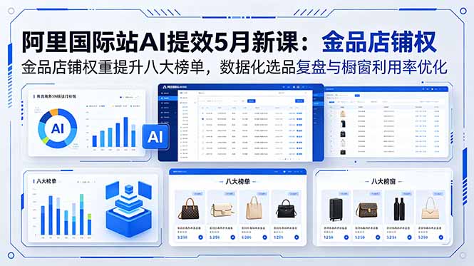 阿里国际站AI提效5月新课：金品店铺权重提升八大榜单，数据化选品复盘与橱窗利用率优化-大川资源分享站