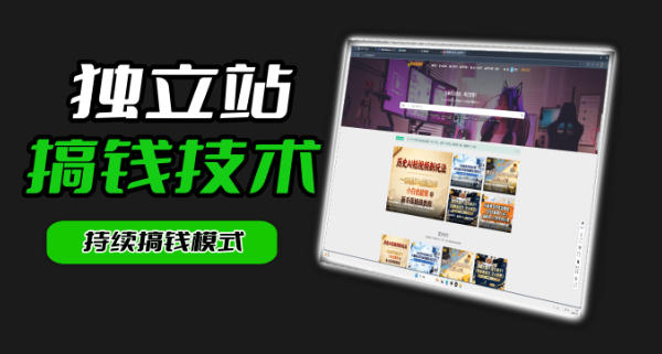 干货来袭！麦子甜带你吃透独立站｜从搭建到引流一站式教学《独立站》第一期-大川资源分享站