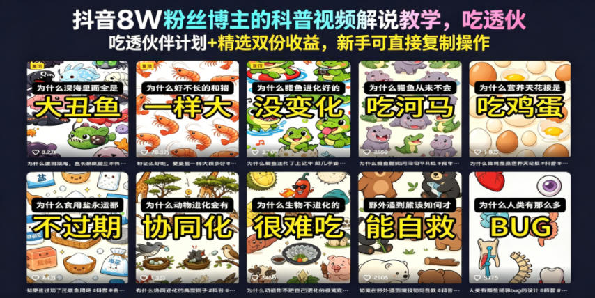 抖音8W粉丝博主的科普视频解说教学，吃透伙伴计划+精选双份收益，新手可直接复制操作-大川资源分享站