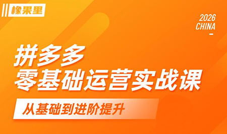 仙道电商·拼多多零基础运营实战课-大川资源分享站