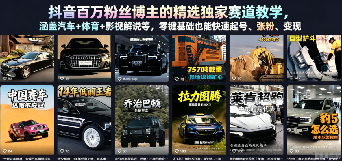 抖音百万粉丝博主的精选独家赛道教学，涵盖汽车+体育+影视解说等，零基础也能快速起号、涨粉、变现-大川资源分享站