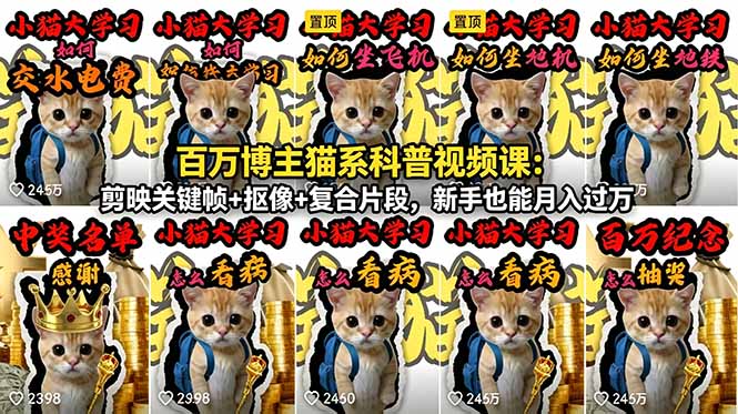 百万博主猫系科普视频课：剪映关键帧+抠像+复合片段，新手也能月入过万-大川资源分享站