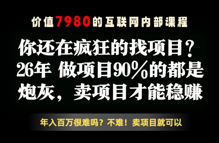 26年请不要疯狂的找项目了，卖项目远比你想象的暴利，你也可以月入10W+【揭秘】-大川资源分享站