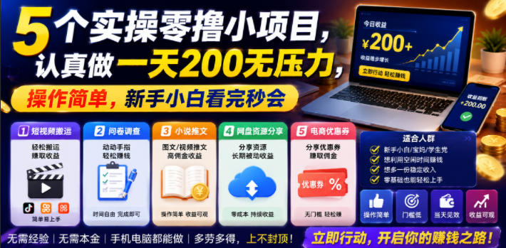 5个实操零撸小项目，认真做一天200无压力，操作简单，新手小白看完秒会【揭秘】-大川资源分享站