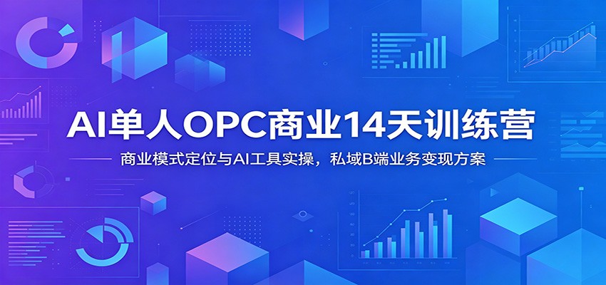 AI单人OPC商业14天训练营：商业模式定位与AI工具实操，私域B端业务变现方案-大川资源分享站