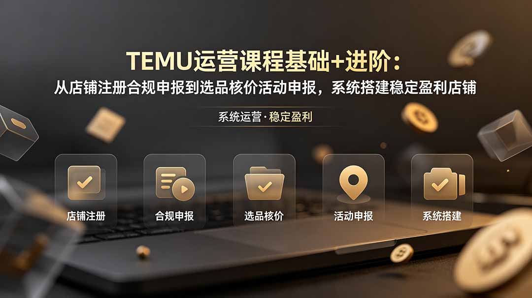 TEMU运营课程(基础+进阶-大川资源分享站