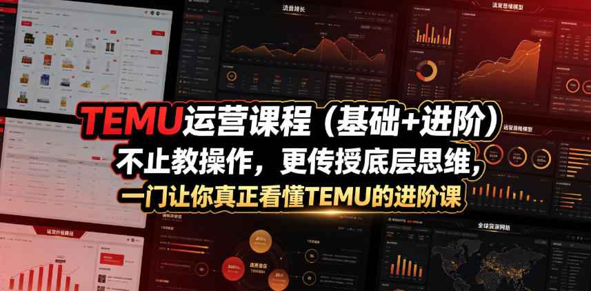TEMU运营课程(基础+进阶)，不止教操作，更传授底层思维，一门让你真正看懂TEMU的进阶课-大川资源分享站