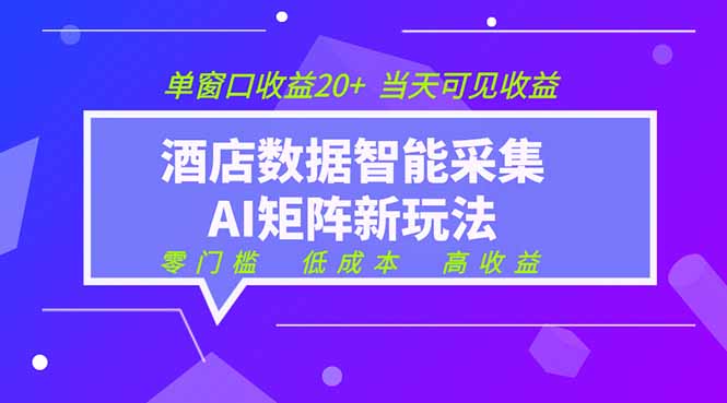 2026酒店数据采集ai智能矩阵新风口  低成本   高收益   当天见收益   单窗口20+-大川资源分享站