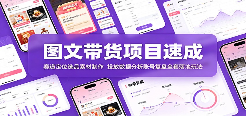 图文带货项目速成:赛道定位选品素材制作,投放数据分析账号复盘全套落地玩法-大川资源分享站