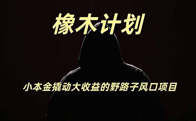 橡木计划，小投入撬动高回报的风口野路子项目，一天投入2小时左右-大川资源分享站