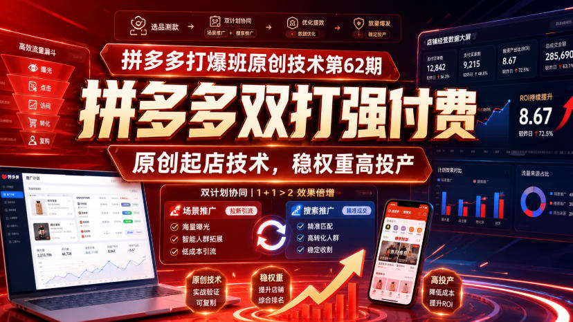 拼多多打爆班原创技术第62期，拼多多双打强付费，原创起店技术，稳权重高投产-大川资源分享站