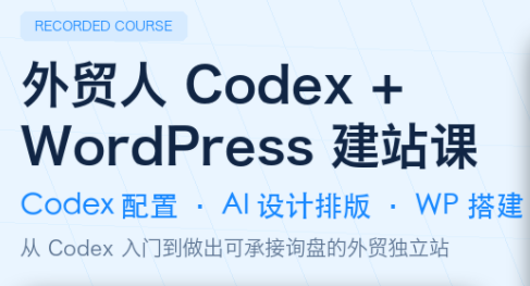 大卫·外贸人Codex + WordPress建站课(更新8月)-大川资源分享站