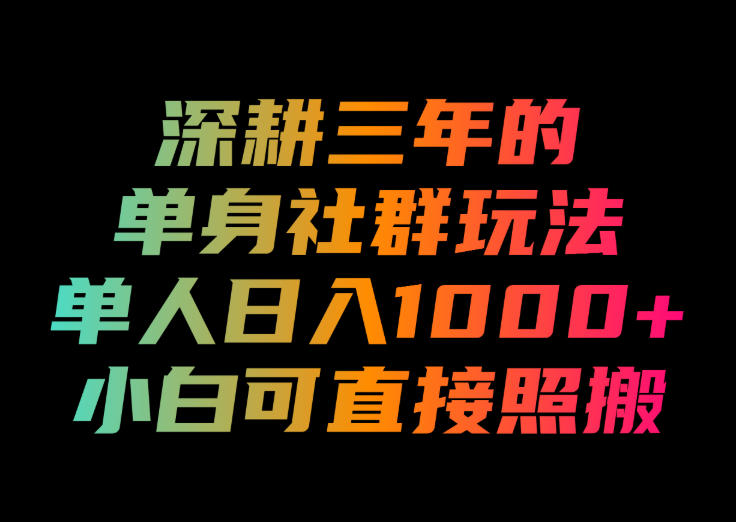 深耕三年的单身社群玩法，单人日入1000+，小白可直接照搬！【揭秘】-大川资源分享站