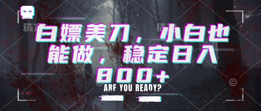 白嫖美刀，小白也能做，稳定日入800+-大川资源分享站