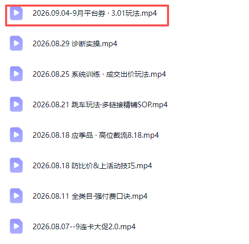 图片[3]-拼多多实战特训营(更新26年9月-大川资源分享站