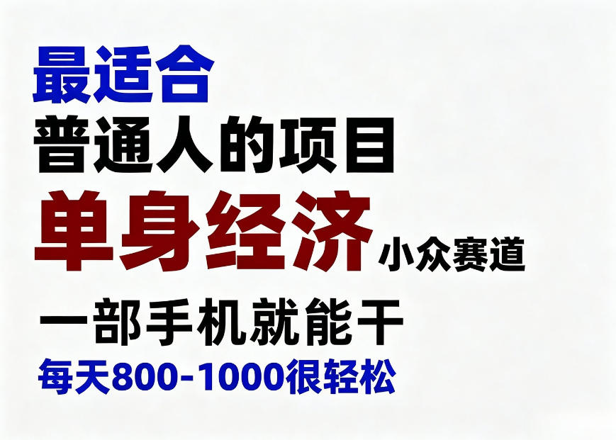 身经济小众赛道，一部手机就能干，每天搞个800-1000很轻松，最适合普通人的项目【揭秘】-大川资源分享站