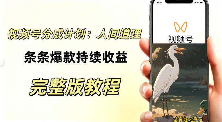 视频号新玩法之AI动漫画风励志视频，不用会画画、不用拍摄，持续化收益，详细拆解-大川资源分享站