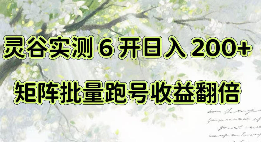 一台电脑就能做！灵谷实测6开日入200+，矩阵批量跑号收益翻倍【揭秘】-大川资源分享站